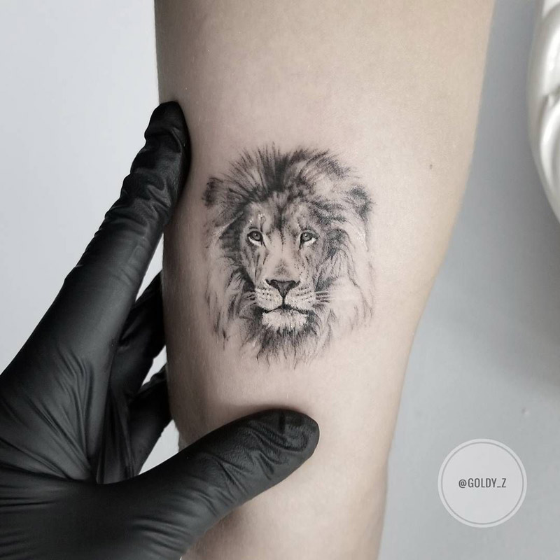 Tatuagem de leão força, determinação e vários estilos!