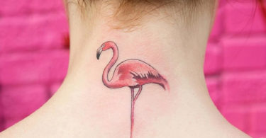 Tatuagens de flamingo