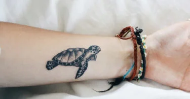 Tatuagens de tartaruga